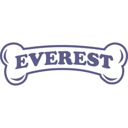 everest bone svg, paw patrol svg, paw patrol logo svg, paw patrol svg file, paw patrol svg everest, digital download