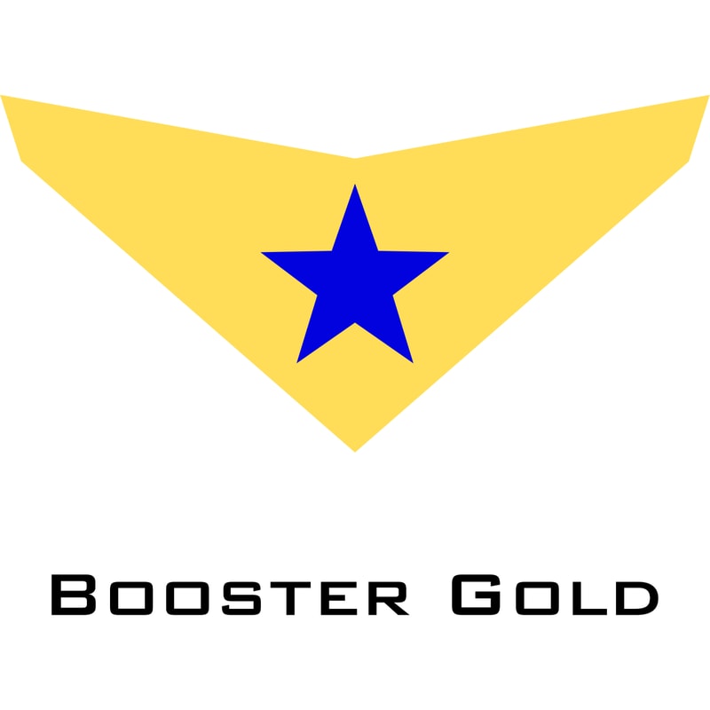 Booster Gold.jpg
