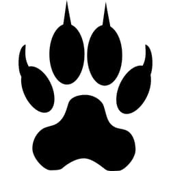 black panther silhouette, black panther svg, wacanda forever, marvel svg, digital download-2