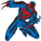 Spideman (color)7.jpg