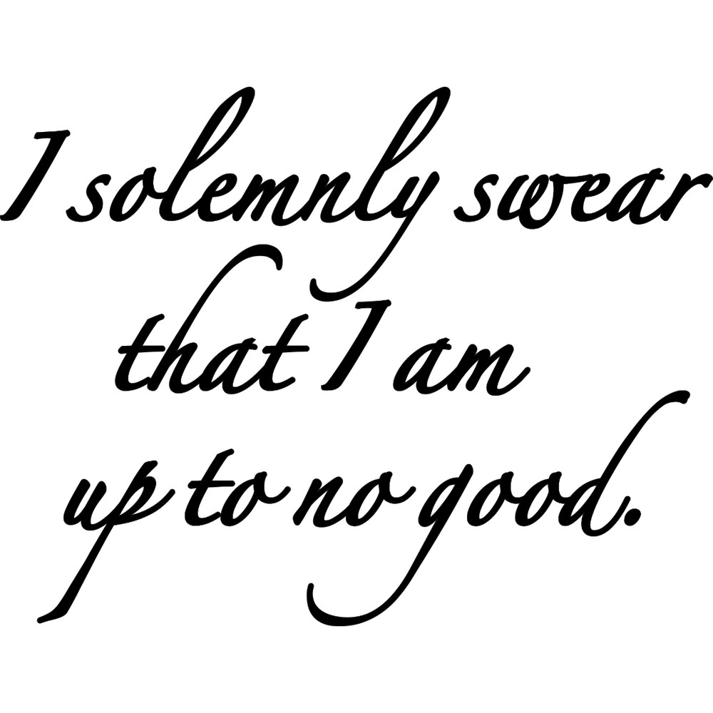 17_ I Solemnly Swear.jpg