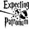 72_ Expecting Patronum.jpg