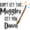 Don_t Let The Muggles Get You Down.jpg