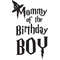 Mommy of the birthday boy.jpg
