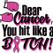 Dear cancer, you hit like a bitch.png