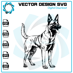 belgian malinois svg, dog svg, belgian malinois png, belgian malinois vector,belgian malinois, vector, svg, digital