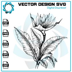 flower svg, bird of paradise flower svg, bird of paradise flower, bird of paradise flower vector, digital files 1