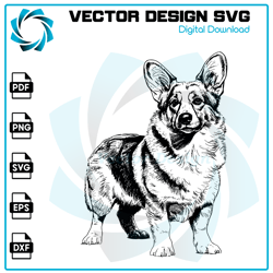 dog cardigan welsh corgi svg, dog svg, cardigan welsh corgi png, cardigan welsh corgi vector, svg, digital files 1