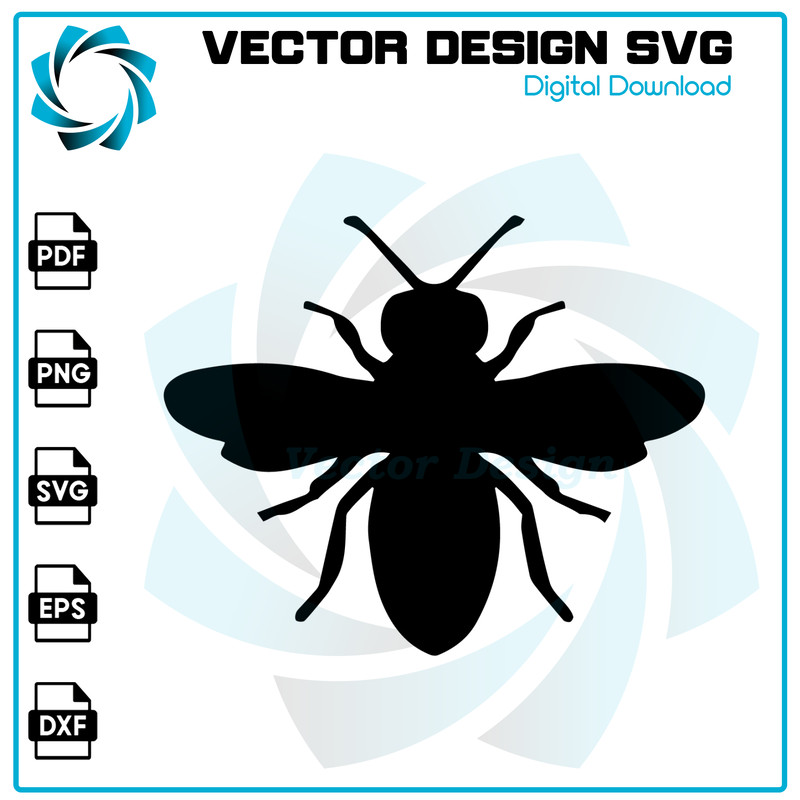 VT2260124T115.jpg