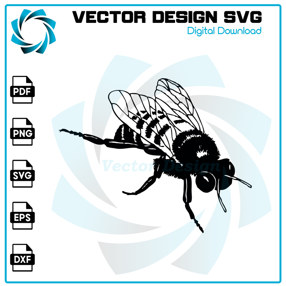 VT2260124T119.jpg