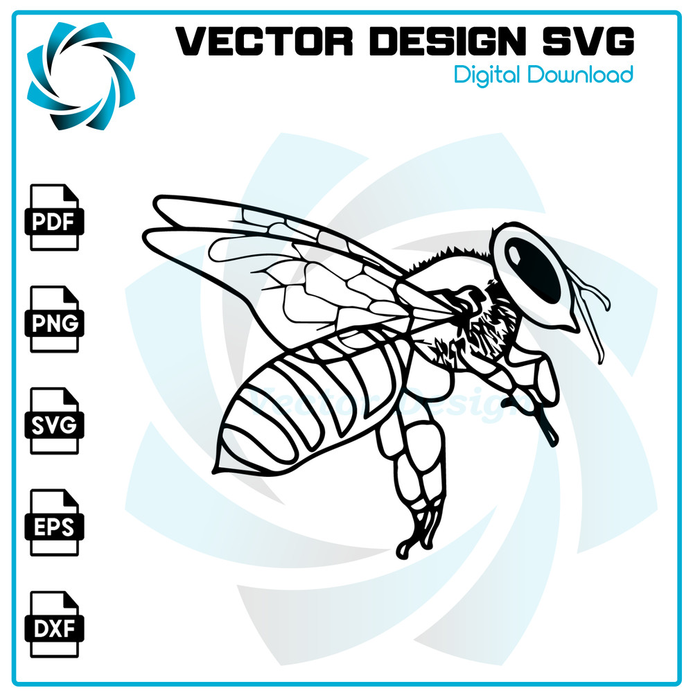VT2260124T133.jpg