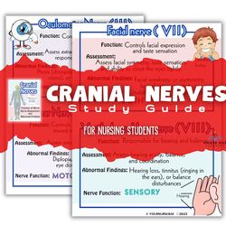 Cranial Nerves Study Guide for Nursing Students, Nursing School, Nursing Study Sheets