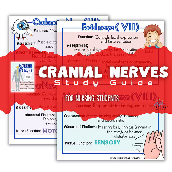 Cranial Nerves Study Guide (1).png