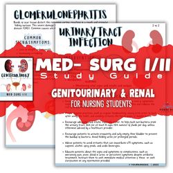 Urinary System/ Renal Study Guide, Med-Surg I/II Genitourinary Bundle for Nursing Students, GU Study Guide, Nursing Scho