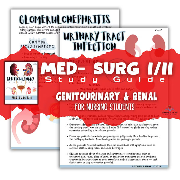 Urinary System Renal Study Guide, Med-Surg III Genitourinary Bundle (1).png