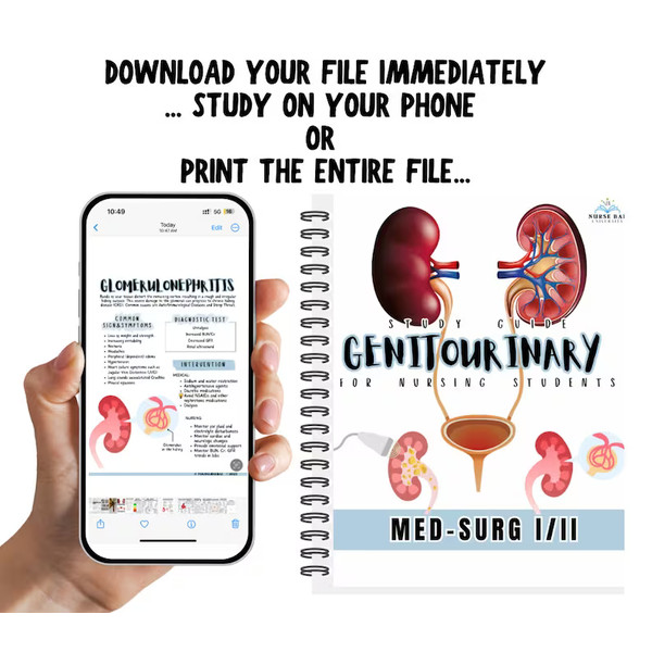 Urinary System Renal Study Guide, Med-Surg III Genitourinary Bundle (3).png