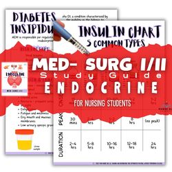 Endocrine Study Guide, Med Surg I/II for Nursing Students, Endocrine System, Nursing Bundle, Nursing Notes, Nursing Med