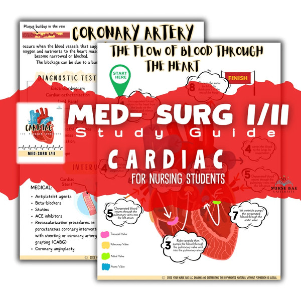Cardiac Study Guide (1).png
