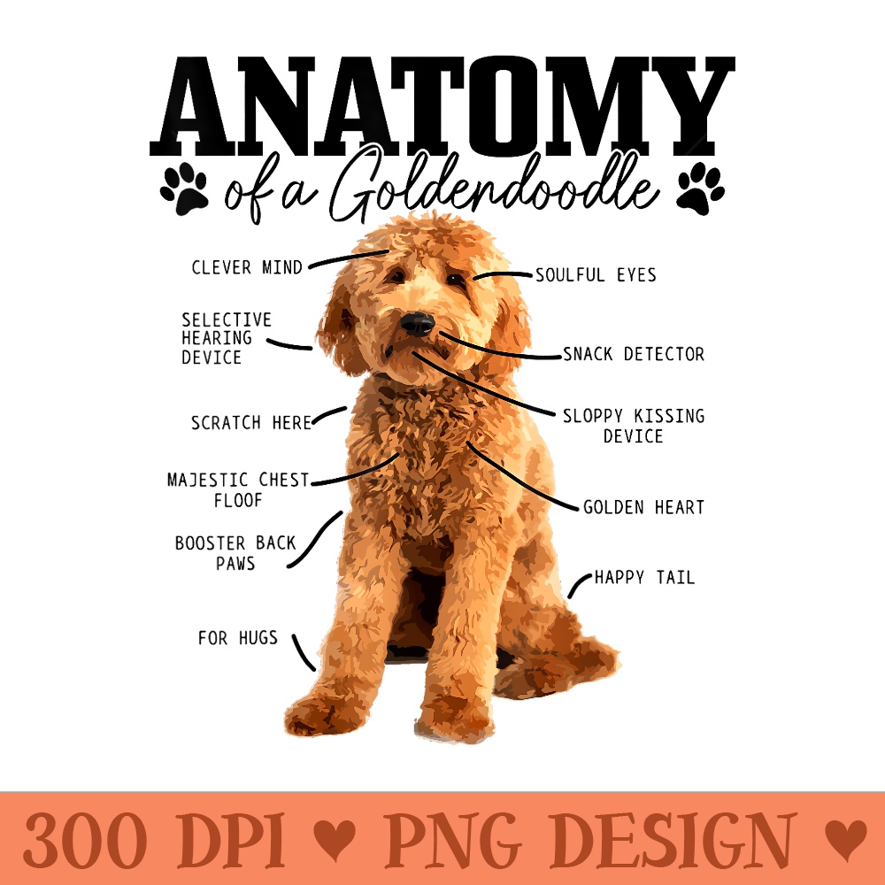 Anatomy Of A Goldendoodle Funny Cute Dog Doodle Mom Dad - PNG Art Files - Vibrant and Eye-Catching Typography