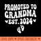 1st time Grandma Promoted to Grandma 2024 Soon to Be Grandma - Sublimation backgrounds PNG - Vibrant and Eye-Catching Typography
