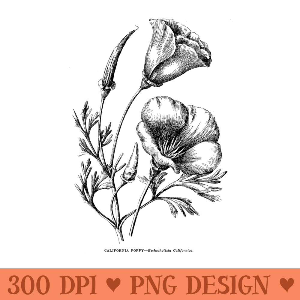 Californian Poppy Botanical Illustration Flower California - Unique Sublimation patterns - Unleash Your Inner Rebellion