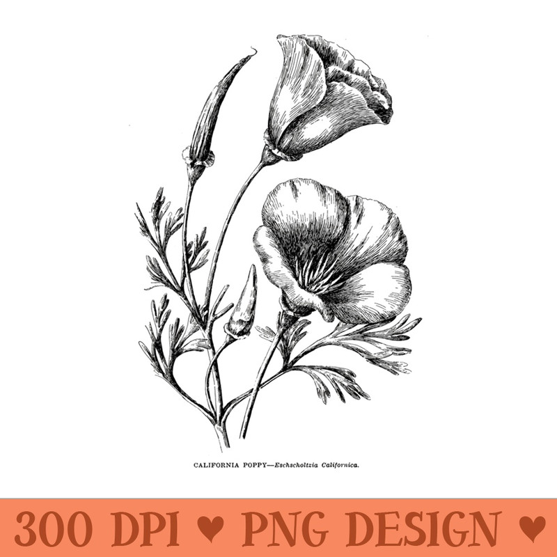 Californian Poppy Botanical Illustration Flower California - Unique Sublimation patterns - Unleash Your Inner Rebellion