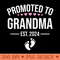 1st Time Grandma EST 2024 New First Grandma - Sublimation patterns PNG - Bold & Eye-catching