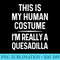 Funny Quesadilla Costume Shirt Halloween Quesadilla Tshirt 0528.jpg