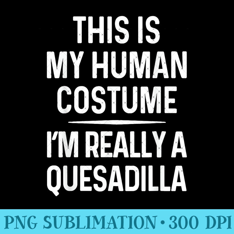 Funny Quesadilla Costume Shirt Halloween Quesadilla Tshirt 0528.jpg