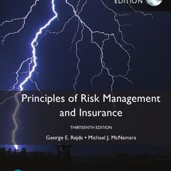 TestBank Principles of Risk Management and Insurance 13th Edition Rejda