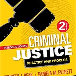 TestBank Introduction to Criminal Justice Practice and Process 2nd Edition Peak
