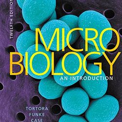TestBank Microbiology An Introduction 12th Edition Tortora