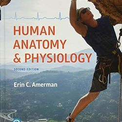 TestBank Human anatomy & physiology 2nd edition Erin C. Amerman