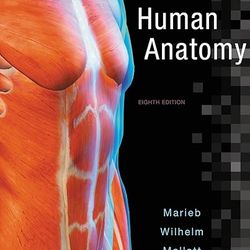 Test Bank Human Anatomy 8th Edition Marieb