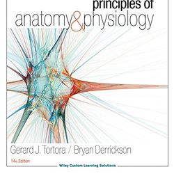 Test Bank Principles of Anatomy and Physiology 14th Edition Tortora Derrickson