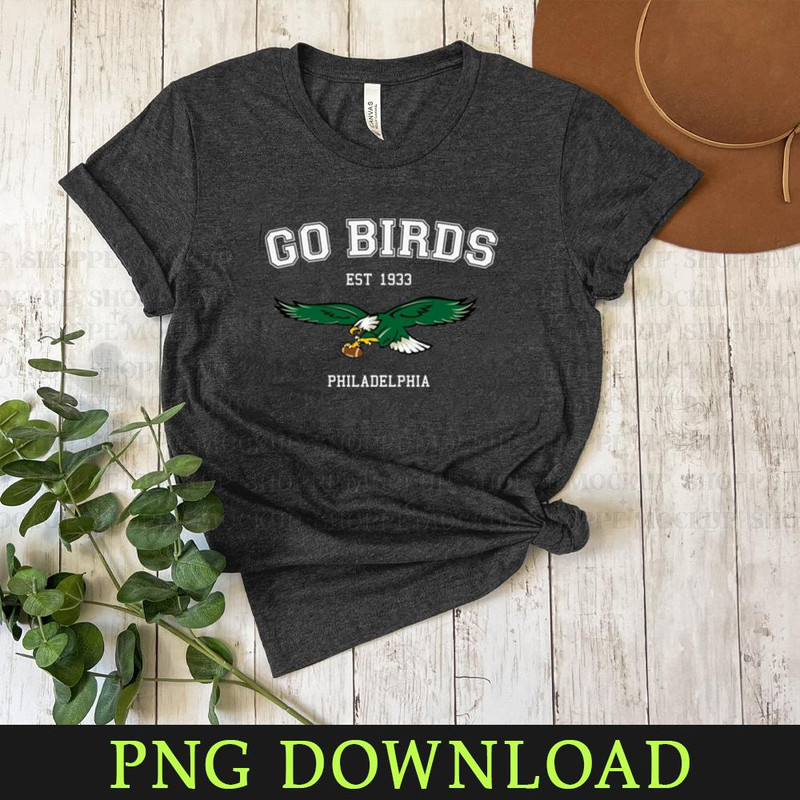 KL03042041382-Go Birds Vintage Style PNG Sublimation Digital Download.jpg