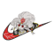 EDS_BR80_SHIRT.png