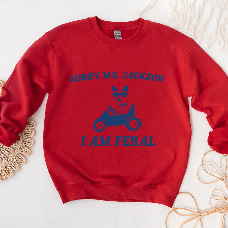3Sorry Ms Jackon I Am Feral Graphic Hoodies.jpg