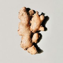 Exquisite Indian Ginger Powder Pack: Versatile Ginger Powder Pack - A Culinary Essential for Flavorful Delights