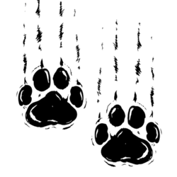 black cat sweatshirt, cat owner gift, cat halloween sweatshirt, black cat lover gift for halloween, black cat sweatshirt