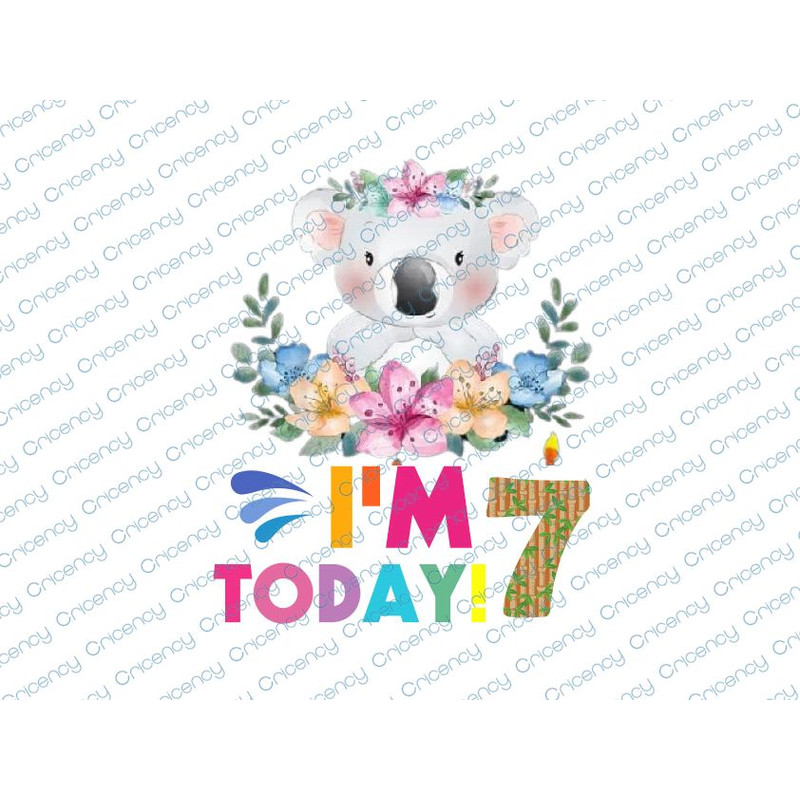 CRI WTM_CV_CUS31 7.jpg