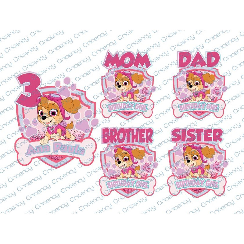 CRI WTM_CV_CUS6 93.jpg