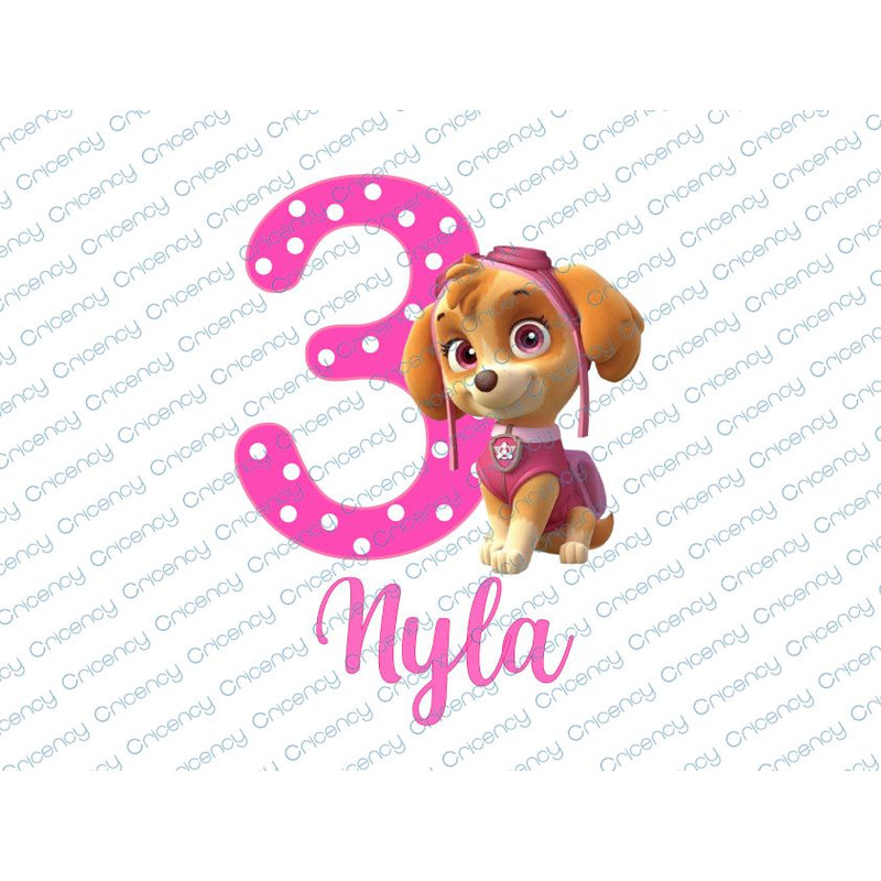 CRI WTM_CV_CUS4 25.jpg