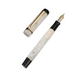 Disposable Fountain Pens, Ink Fine Point Pens Smooth Writing Calligraphy Pens :Style 1