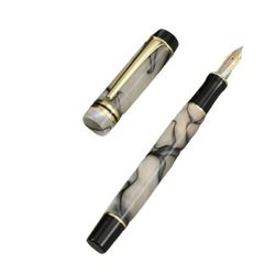 Disposable Fountain Pens, Ink Fine Point Pens Smooth Writing Calligraphy Pens :Style 3