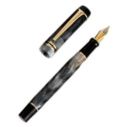 Disposable Fountain Pens, Ink Fine Point Pens Smooth Writing Calligraphy Pens :Style 4