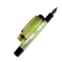 Disposable Fountain Pens, Ink Fine Point Pens Smooth Writing Calligraphy Pens :Style 6