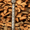 Handmade Legend Of The Seeker Scottish Claymore Sword  Stainless Steel Medieval Sword With Leather  3