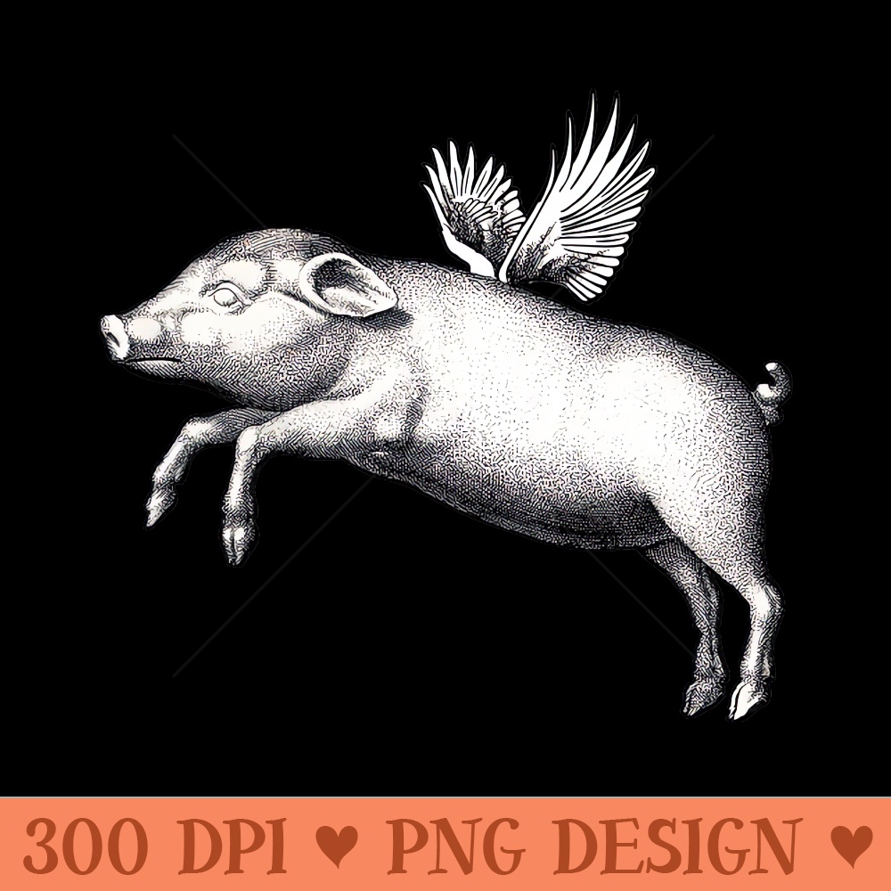 Flying Pig Funny Black And White Vintage Winged Animal 0111.jpg