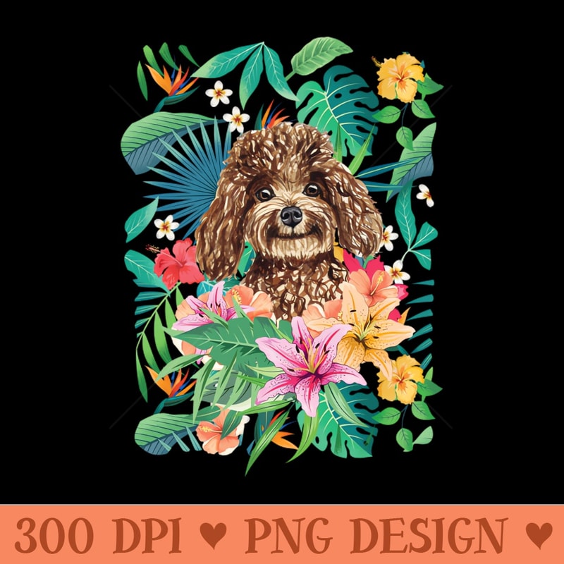Tropical Chocolate Toy Poodle 0399.jpg
